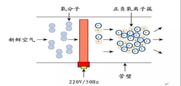 等离子法除臭